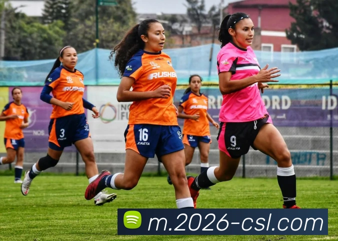 中超买球官网APP 封面图